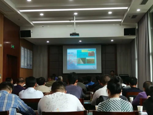 計(jì)算機(jī)技術(shù)培訓(xùn)大會(huì) 小島上的智慧碰撞與未來(lái)展望